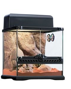 HABITAT KIT DESERT SMALL